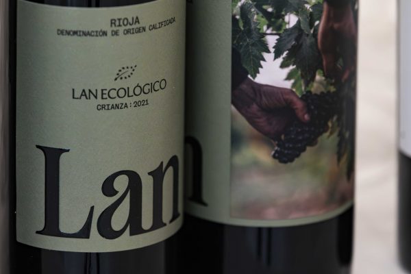 FEV_AsambleaGeneral_2026_3397_BAJA